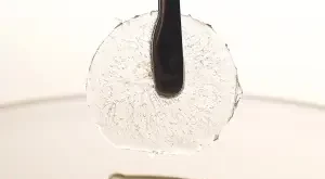 Saber y Sabor, Revista española, resalta la cocina  de Nicolas Solanilla en su restaurante Ana.